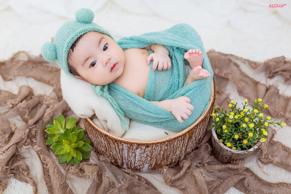 album ảnh newborn 10